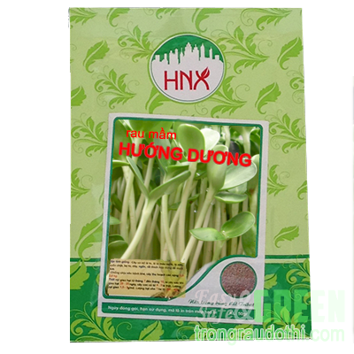 Hạt giống rau mầm hướng dương